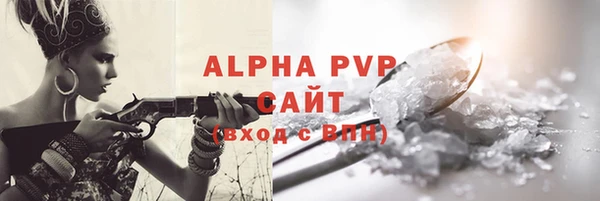 a pvp Бородино